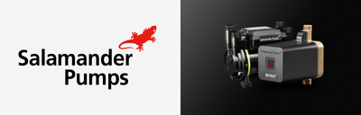 Salamander Pumps Logo