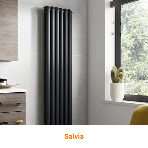 Salvia