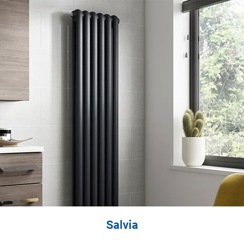 Salvia