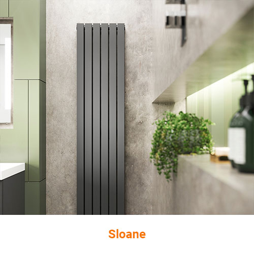 Sloane