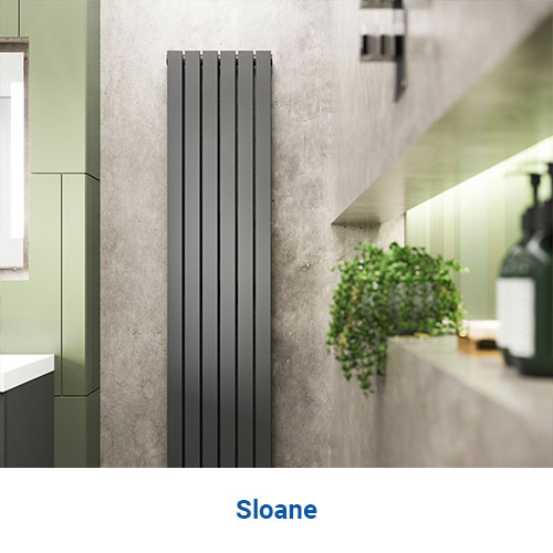 Sloane