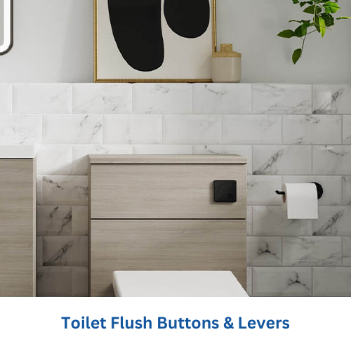 Toilet Flush Buttons