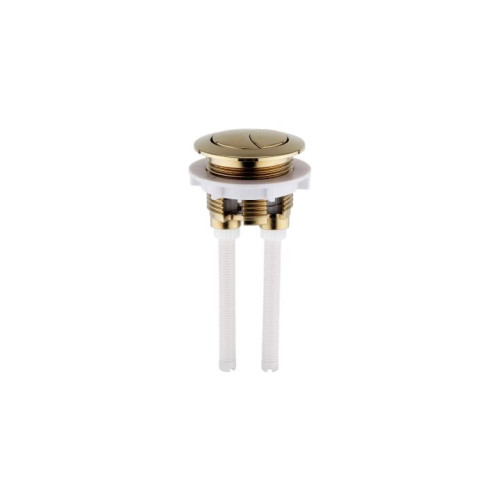 Round Dual Flush Brushed Brass Push Button