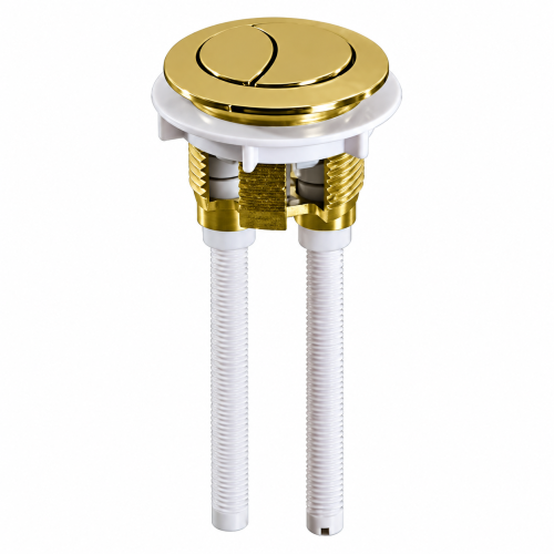 Round Dual Flush Brushed Brass Push Button