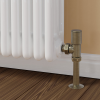 ProTek Brushed Brass Angled Manual Radiator Valves (Pair)