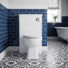Nuie Classique Satin White 500mm WC Unit