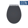 Traditional Toilet Seat (Carlton/Classique) - Satin Soft Black
