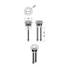 Round Dual Flush Chrome Push Button