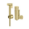 Douche Shower Spray Kit & Mini Thermostatic Valve - Brushed Brass