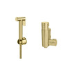 Douche Shower Spray Kit & Mini Thermostatic Valve - Brushed Brass