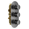 Echo Round Triple Two Outlet Thermostatic Concealed Shower Valve - Gunmetal