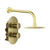 Brushed Brass Round Concealed Shower With Arm & Shower Head