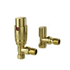 ProTek Brushed Brass Angled Thermostatic Radiator Valves (Pair)