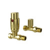 ProTek Brushed Brass Straight Thermostatic Radiator Valves (Pair)