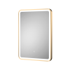 Brushed Brass Frame LED Illuminated Bathroom Mirror 500mm x 700mm