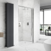 Hudson Reed Apex Chrome 1100mm Sliding Shower Door 8mm Glass (1950mm)