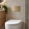 Nuie Round Plate For Pneumatic Cistern (Brushed Brass)