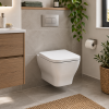 Pro Rimless Wall Hung Toilet & Soft Close Seat