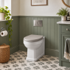 Old London Richmond Comfort Height Back To Wall Toilet