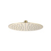 Round Brushed Brass Ultra Slim Fixed Shower Head 250mm x 250mm