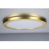 Tauri Satin Brass LED Flush Wall/Ceiling 24W Panel