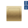 Protek Square Brass Dual Flush Button