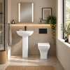 Pro Rimless Back To Wall Toilet & Soft Close Seat