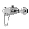 Ocean Chrome Manual Concealed/Exposed Shower Valve