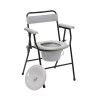 Folding Commode With Potty