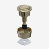 Viva Sanitary Brushed Brass Push Button (For Skylo Flush Valves)
