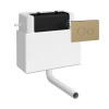 Air Pneumatic Comfort Height Dual Flush Universal Access Concealed Cistern With Brass Push Plate